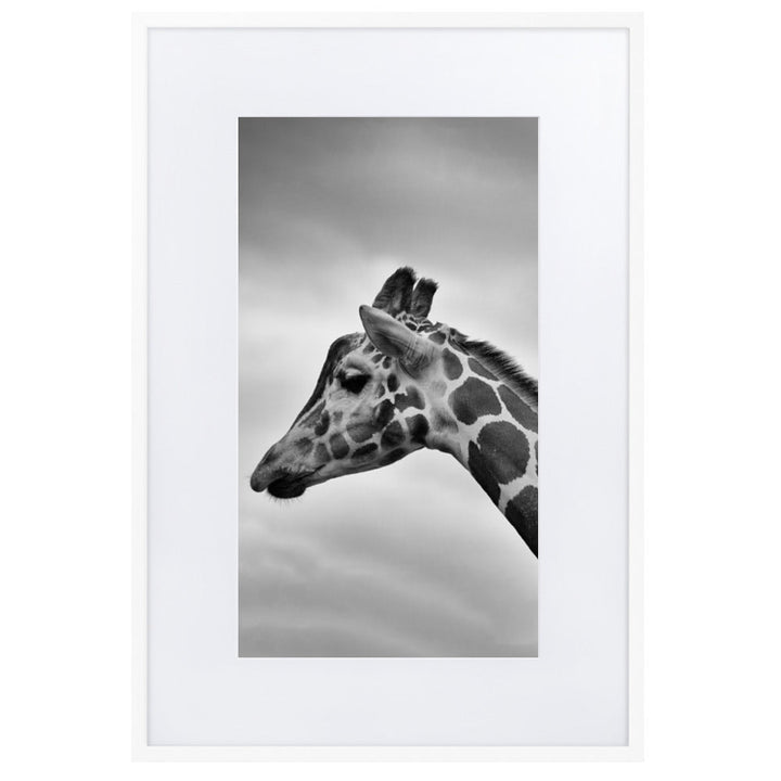Giraffe - Poster im Rahmen mit Passepartout Weiß / 61×91 cm artlia