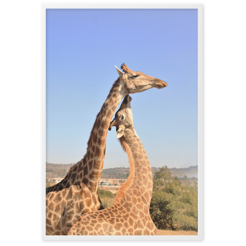 Giraffen - Poster artlia