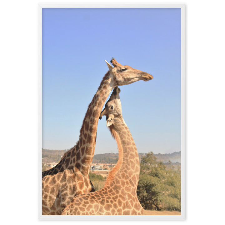 Giraffen - Poster artlia