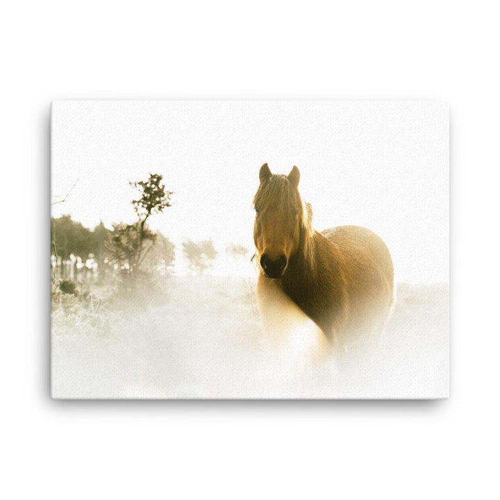 Pferd im Traum - Leinwand 50×70 cm artlia