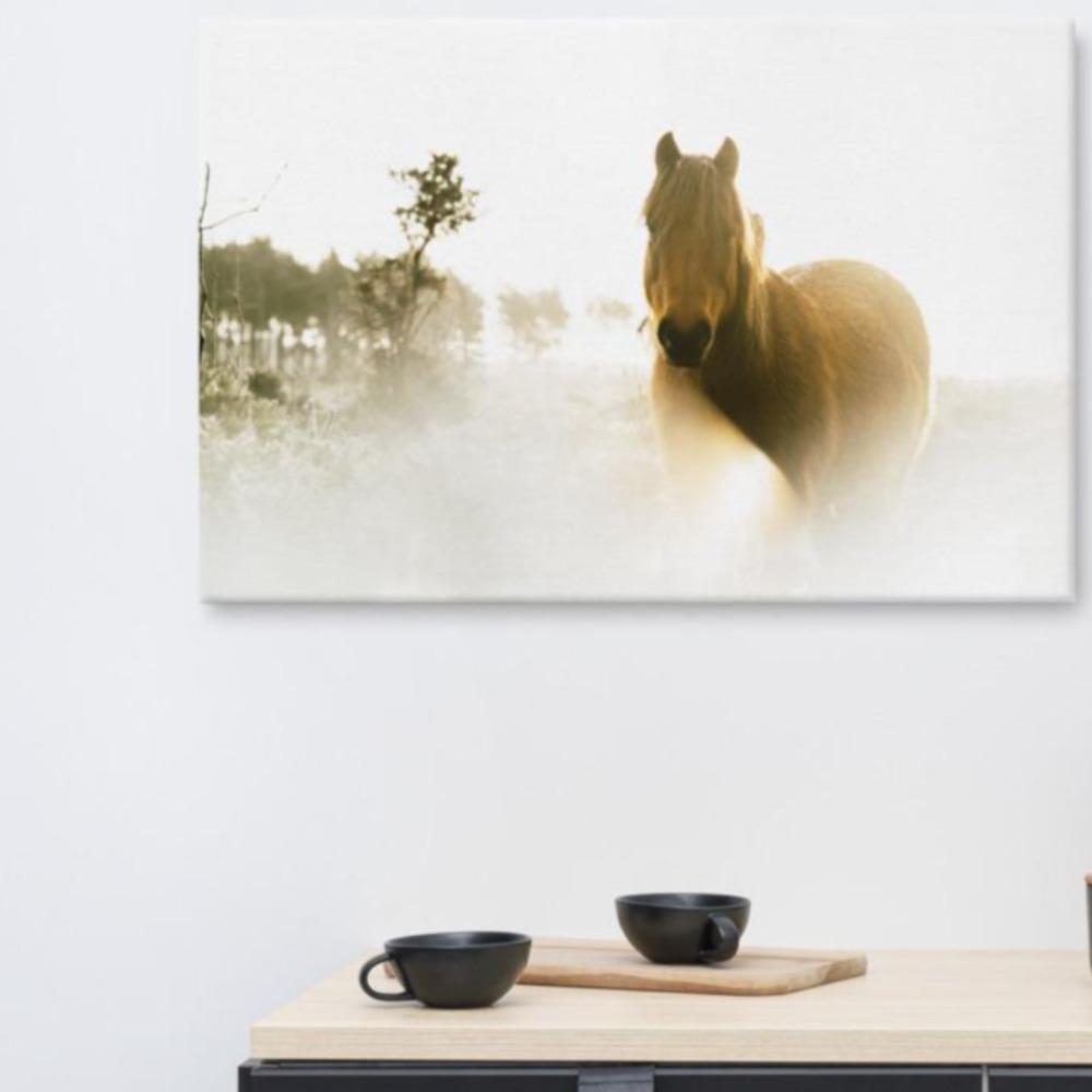 Pferd im Traum - Leinwand artlia