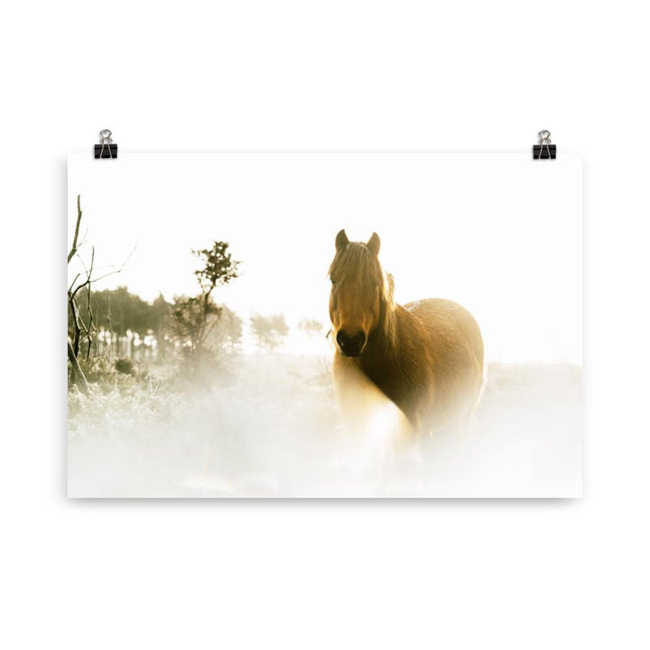 Pferd im Traum - Poster 21×30 cm artlia