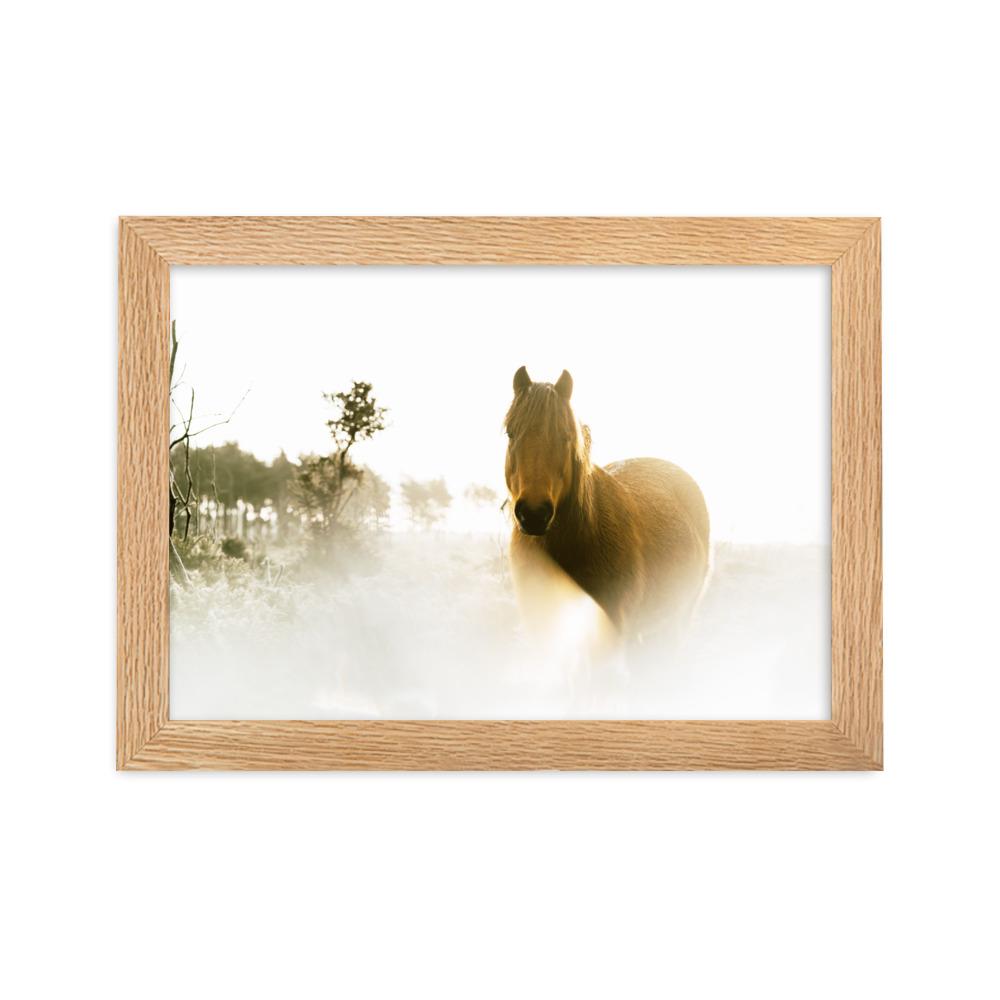 Pferd im Traum - Poster im Rahmen Oak / 21×30 cm artlia