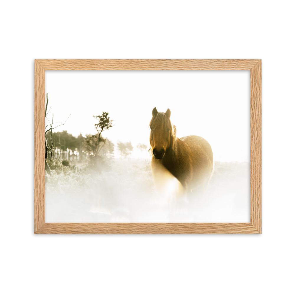 Pferd im Traum - Poster im Rahmen Oak / 30×40 cm artlia