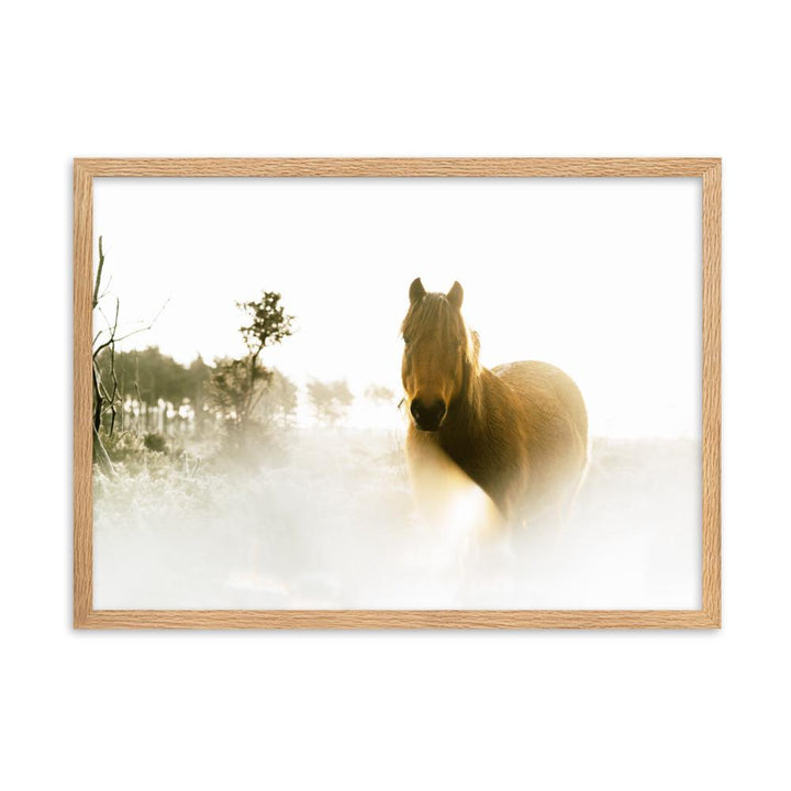 Pferd im Traum - Poster im Rahmen Oak / 50×70 cm artlia