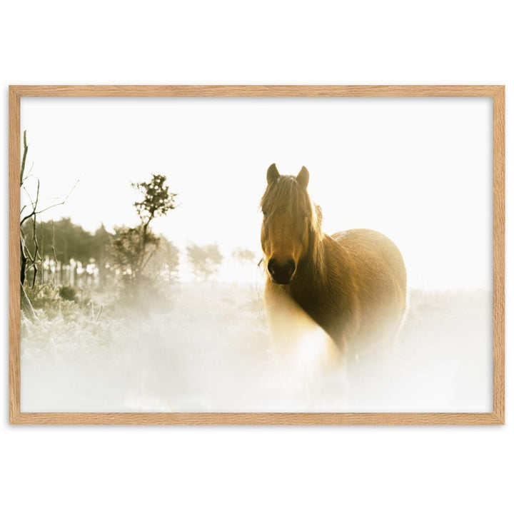 Pferd im Traum - Poster im Rahmen Oak / 61×91 cm artlia