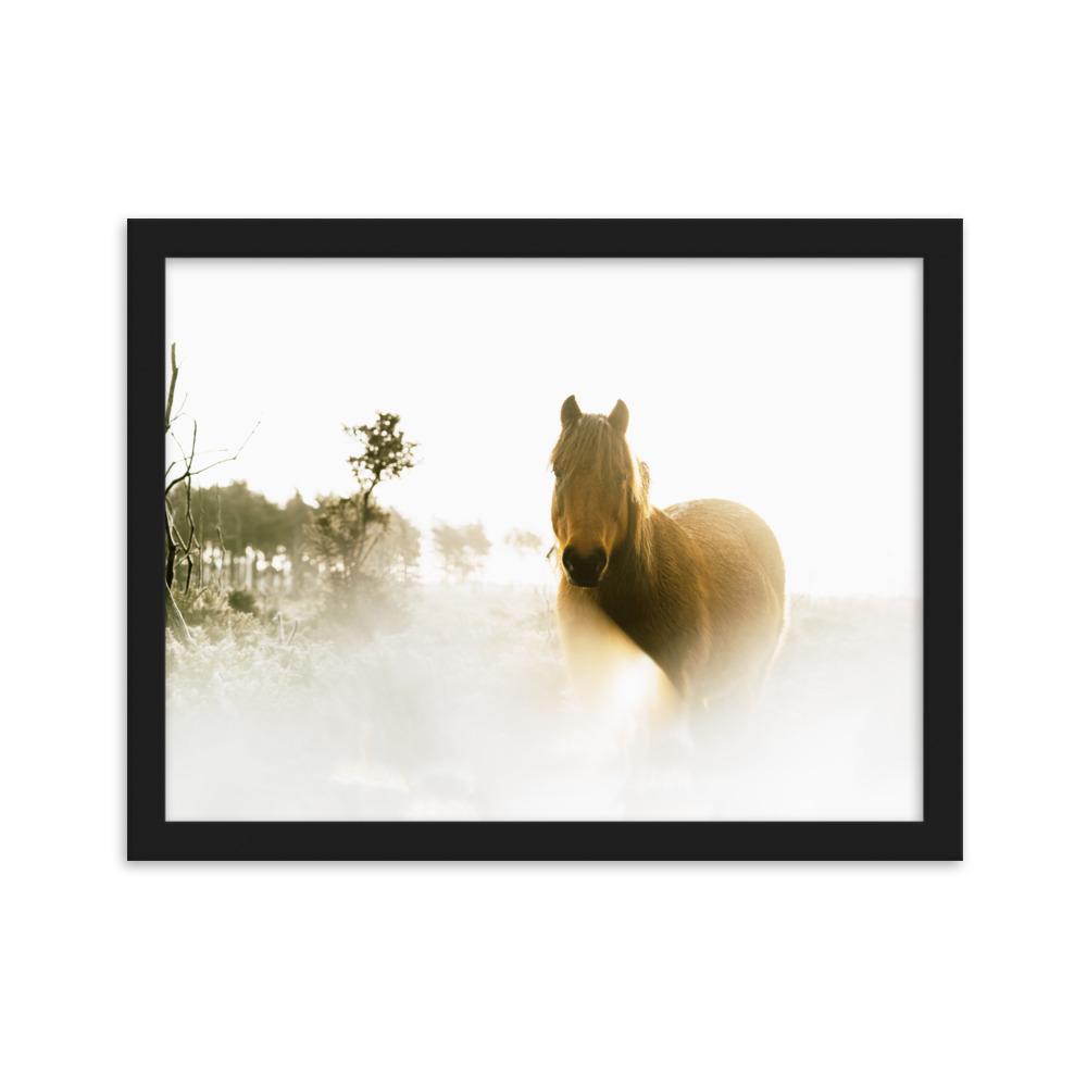 Pferd im Traum - Poster im Rahmen Schwarz / 30×40 cm artlia