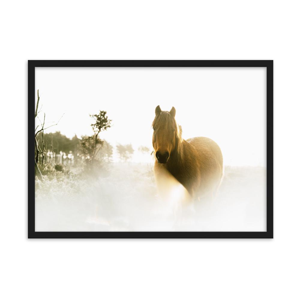 Pferd im Traum - Poster im Rahmen Schwarz / 50×70 cm artlia