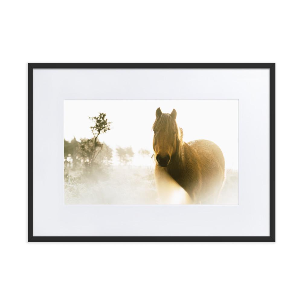 Pferd im Traum - Poster im Rahmen mit Passepartout Schwarz / 50×70 cm artlia