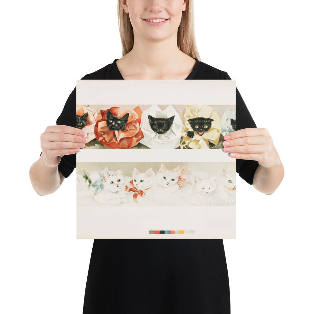 Katzen - Poster 36x36 cm artlia