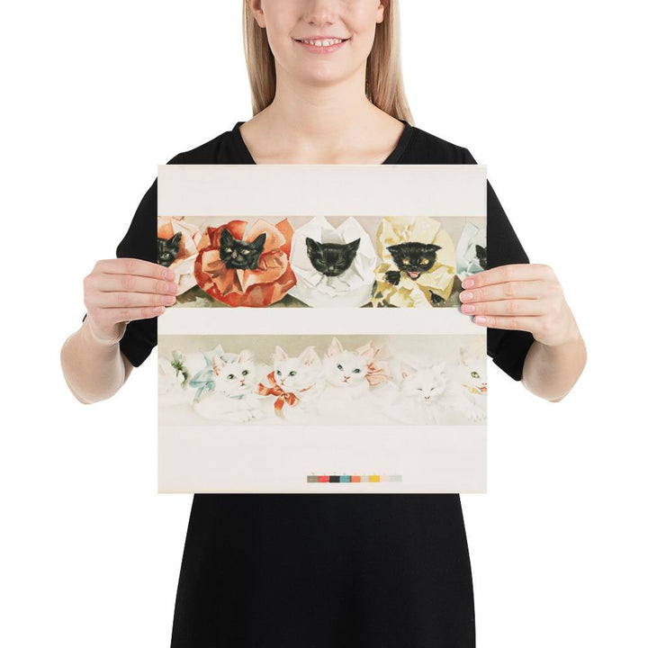 Katzen - Poster 36x36 cm artlia