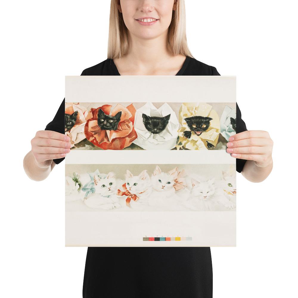 Katzen - Poster 41x41 cm artlia