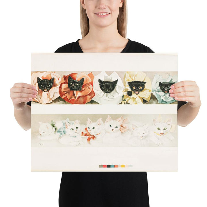 Katzen - Poster 41x51 cm artlia