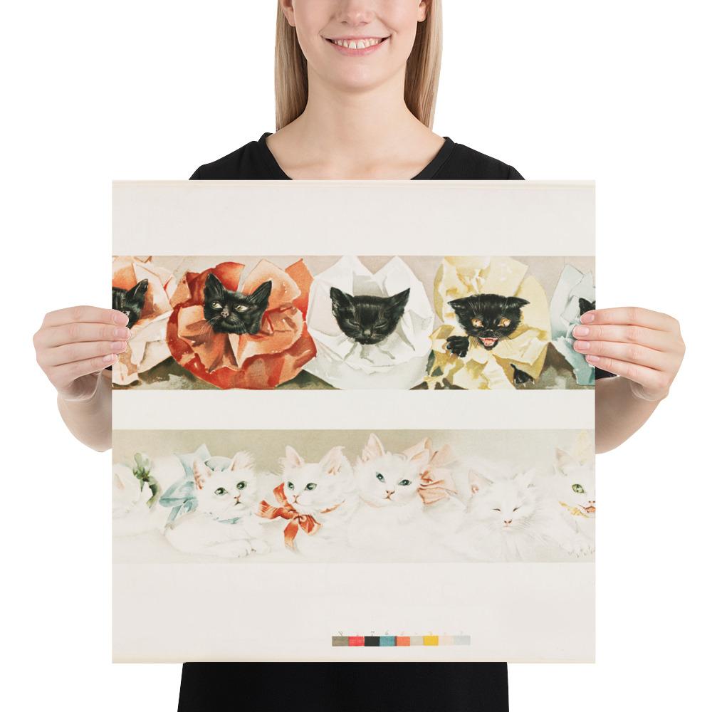 Katzen - Poster 46x46 cm artlia