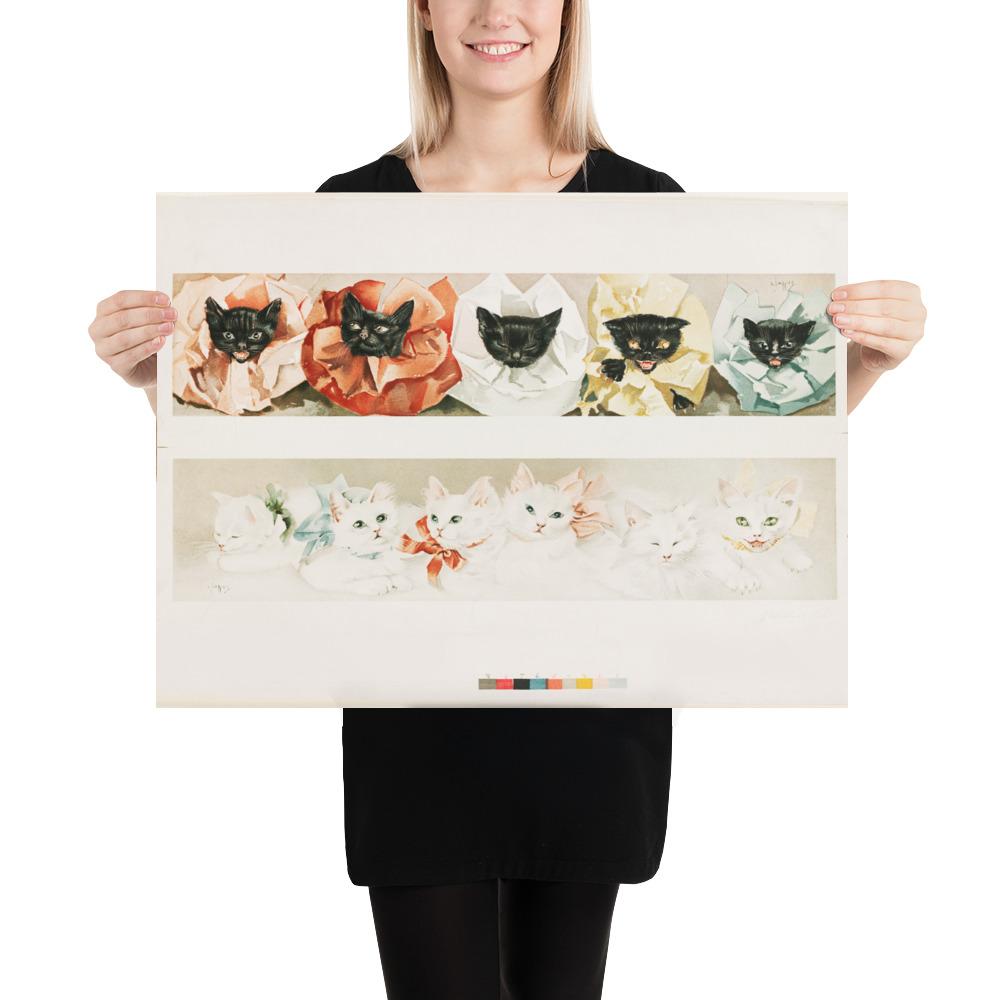 Katzen - Poster 46x61 cm artlia