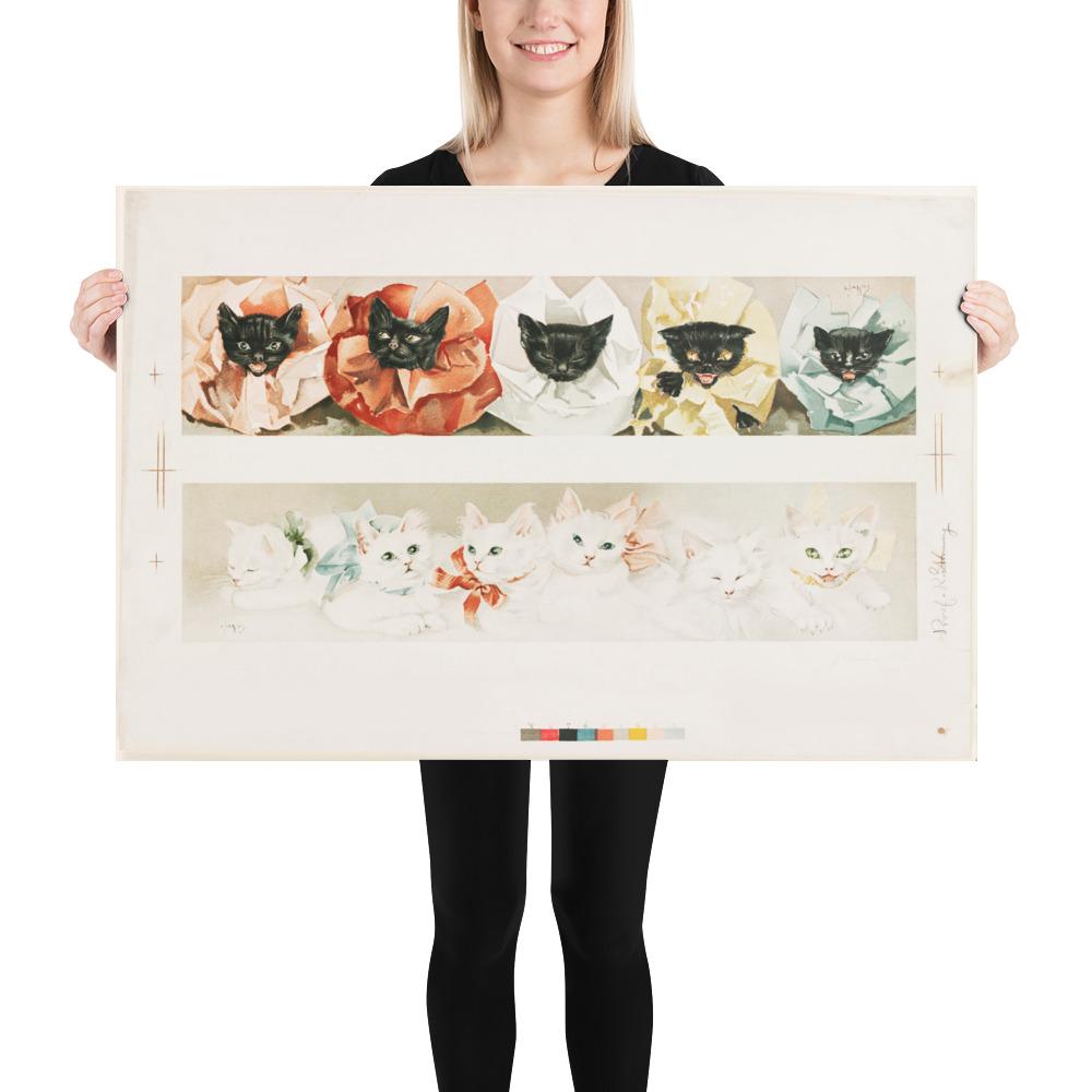 Katzen - Poster 61x91 cm artlia