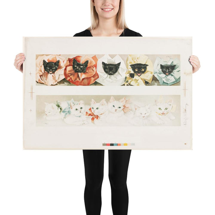 Katzen - Poster 61x91 cm artlia