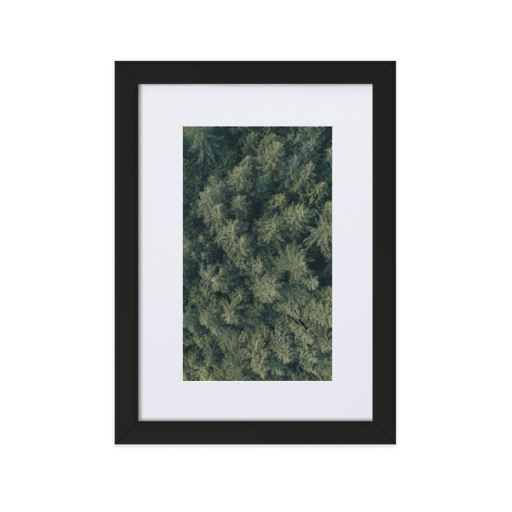 Kiefernwald Pine Forest - Poster im Rahmen mit Passepartout Schwarz / 21×30 cm artlia