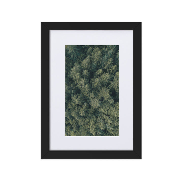 Kiefernwald Pine Forest - Poster im Rahmen mit Passepartout Schwarz / 21×30 cm artlia