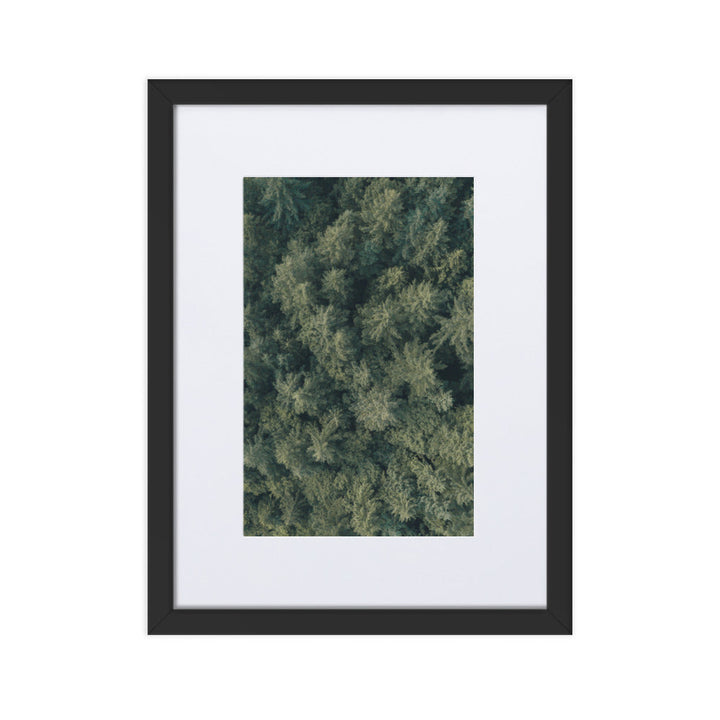 Kiefernwald Pine Forest - Poster im Rahmen mit Passepartout Schwarz / 30×40 cm artlia