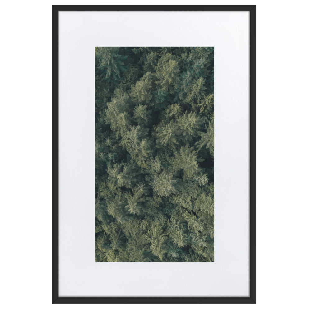 Kiefernwald Pine Forest - Poster im Rahmen mit Passepartout Schwarz / 61×91 cm artlia