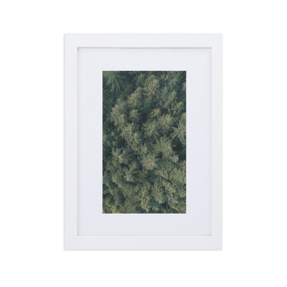 Kiefernwald Pine Forest - Poster im Rahmen mit Passepartout Weiß / 21×30 cm artlia