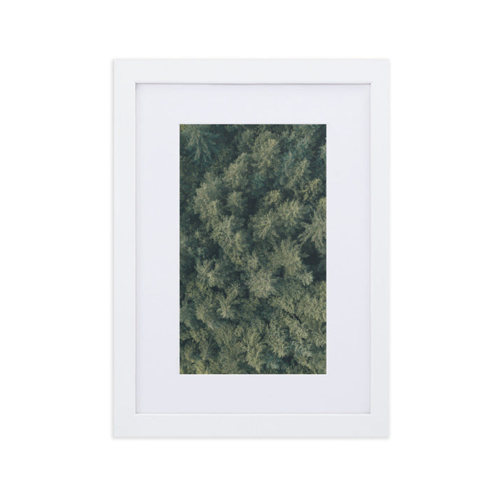Kiefernwald Pine Forest - Poster im Rahmen mit Passepartout Weiß / 21×30 cm artlia