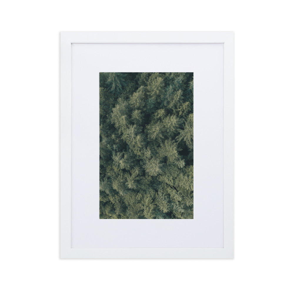 Kiefernwald Pine Forest - Poster im Rahmen mit Passepartout Weiß / 30×40 cm artlia