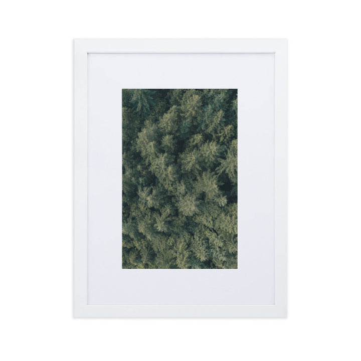 Kiefernwald Pine Forest - Poster im Rahmen mit Passepartout Weiß / 30×40 cm artlia