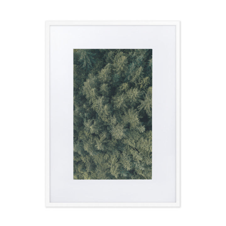 Kiefernwald Pine Forest - Poster im Rahmen mit Passepartout Weiß / 50×70 cm artlia
