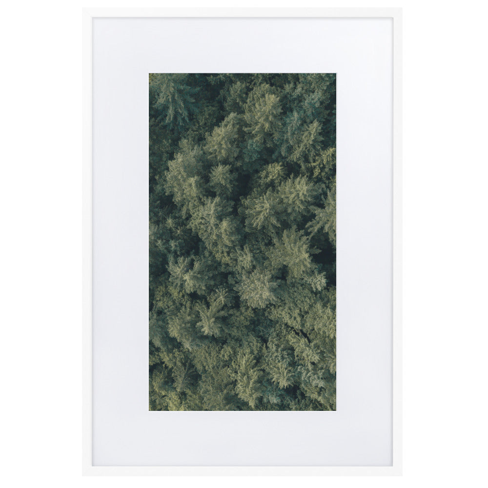 Kiefernwald Pine Forest - Poster im Rahmen mit Passepartout Weiß / 61×91 cm artlia