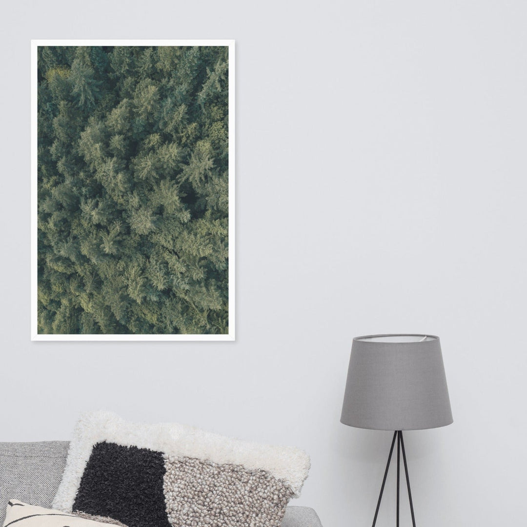 Kiefernwald - Poster artlia