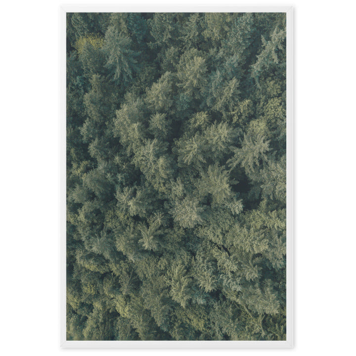 Kiefernwald - Poster artlia