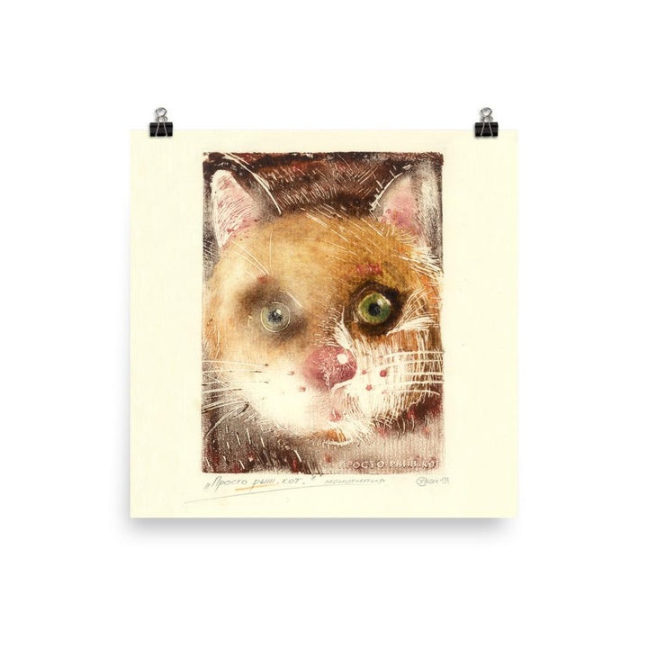 Katze Ko 91 - Poster 25x25 cm artlia