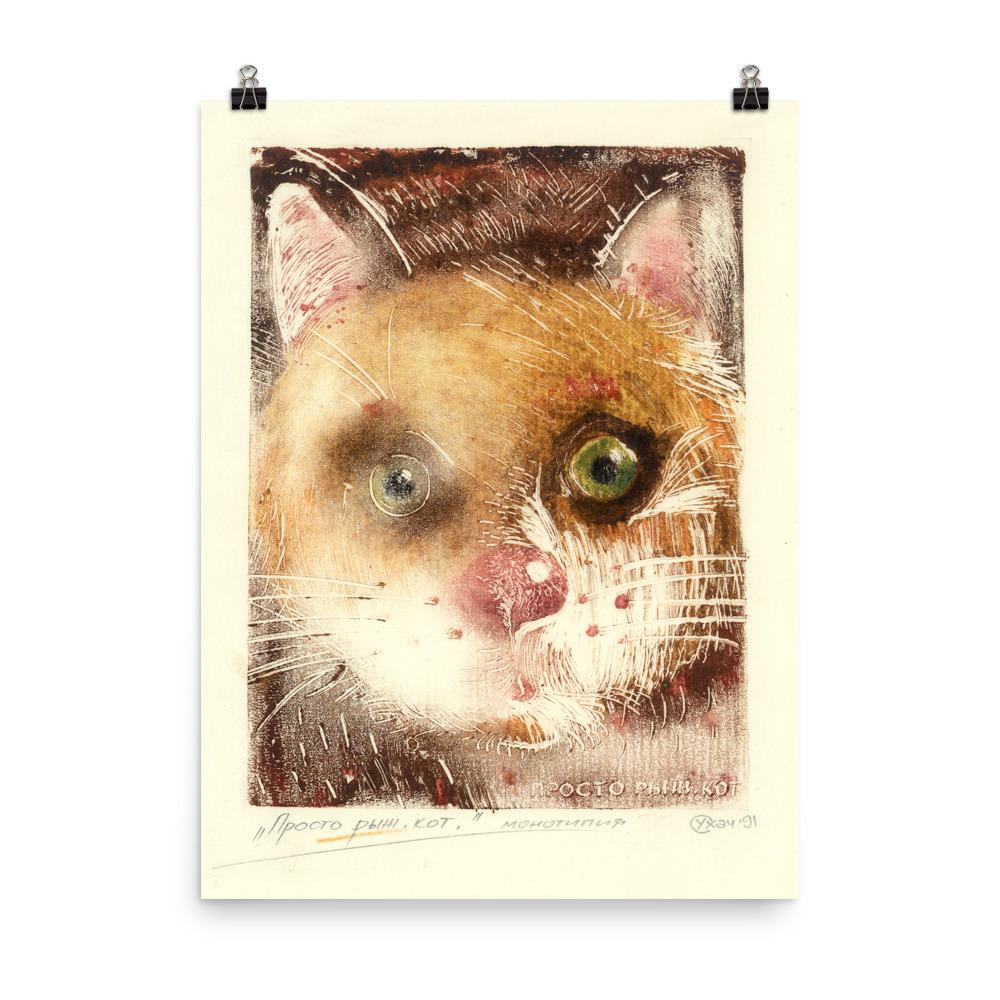 Katze Ko 91 - Poster 30x41 cm artlia