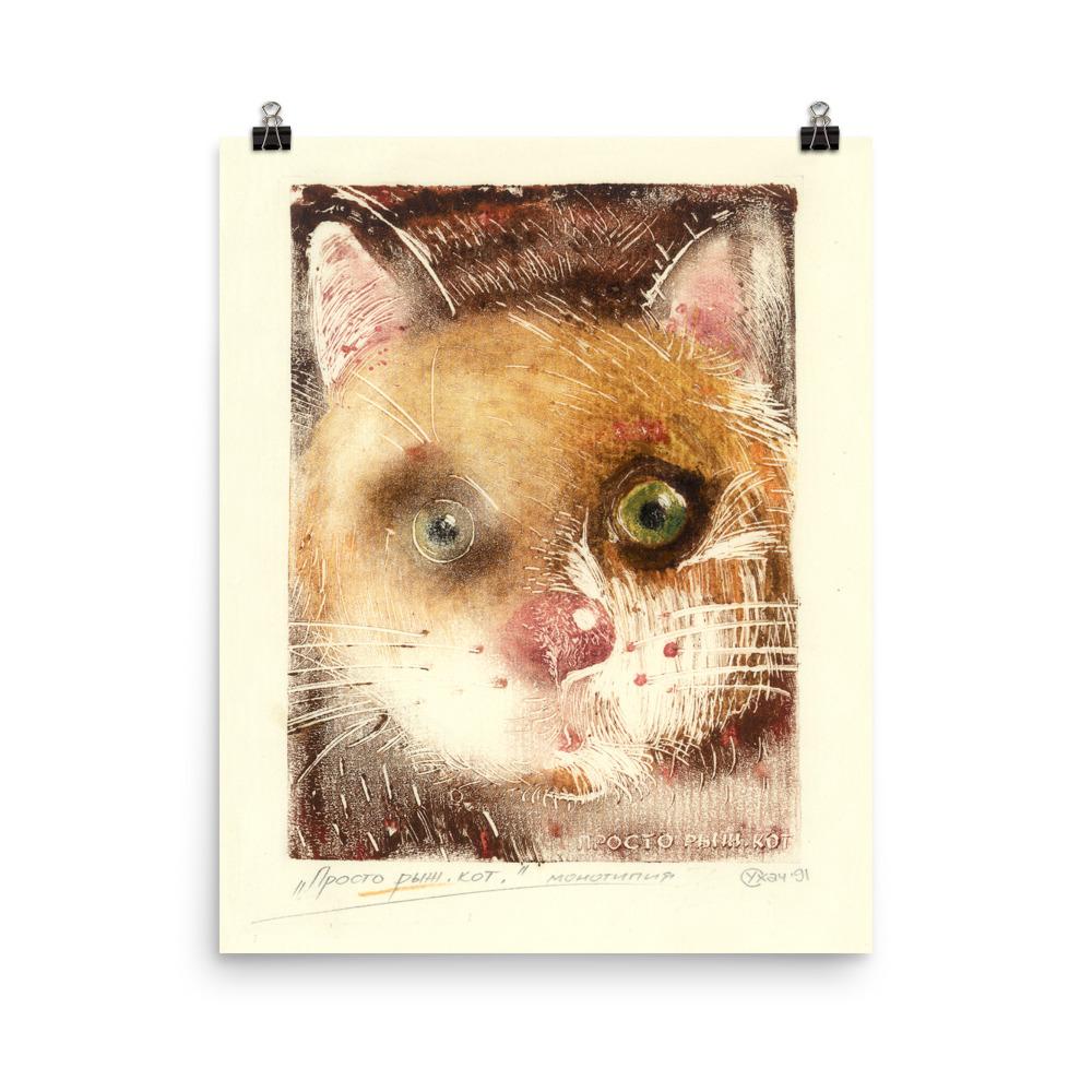 Katze Ko 91 - Poster 20x25 cm artlia