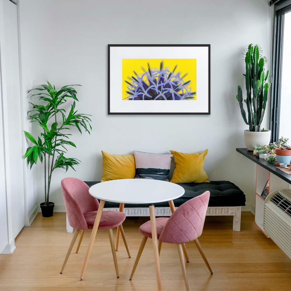 Kugeldiestel - Poster im Rahmen mit Passepartout artlia