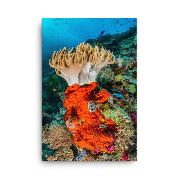 Lederkoralle - Leinwand artlia