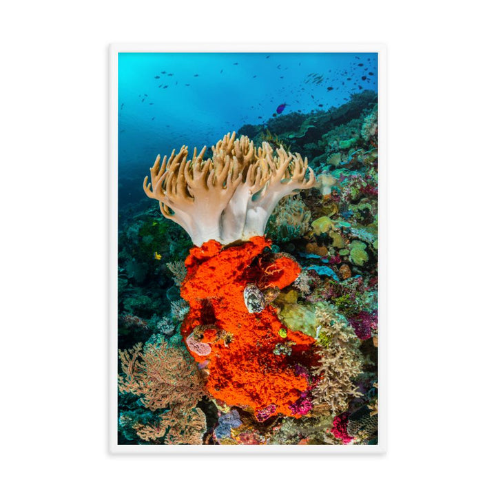 Lederkoralle - Poster im Rahmen artlia