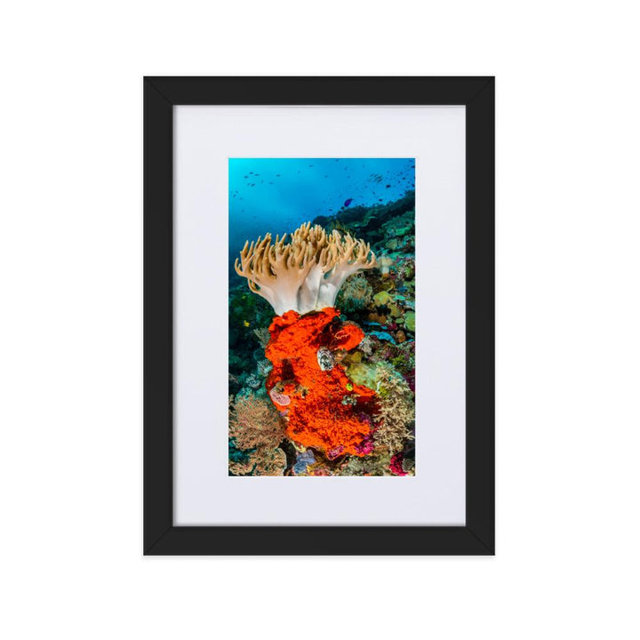 Lederkoralle - Poster im Rahmen mit Passepartout schwarz / 21×30 cm artlia