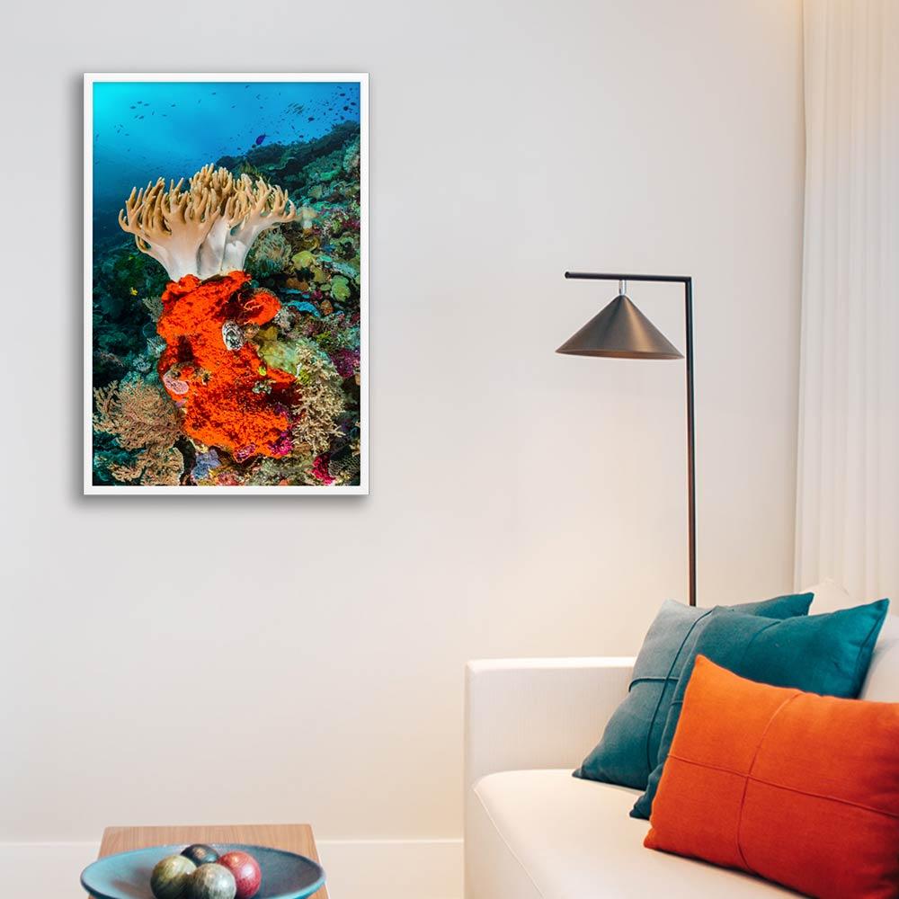 Lederkoralle - Poster im Rahmen weiß / 61x91 cm artlia