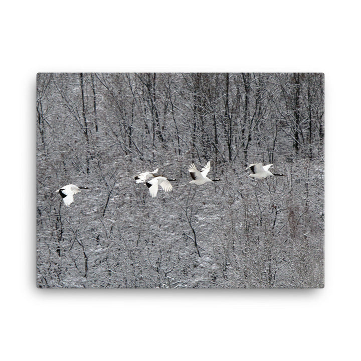 Leinwand - fliegende Kranichfamilie 30x41 cm artlia