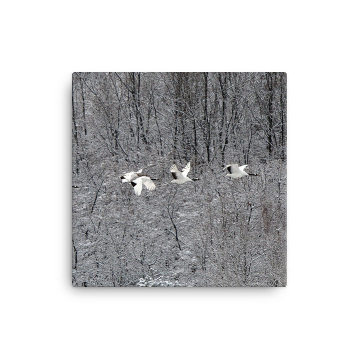 Leinwand - fliegende Kranichfamilie 41x41 cm artlia