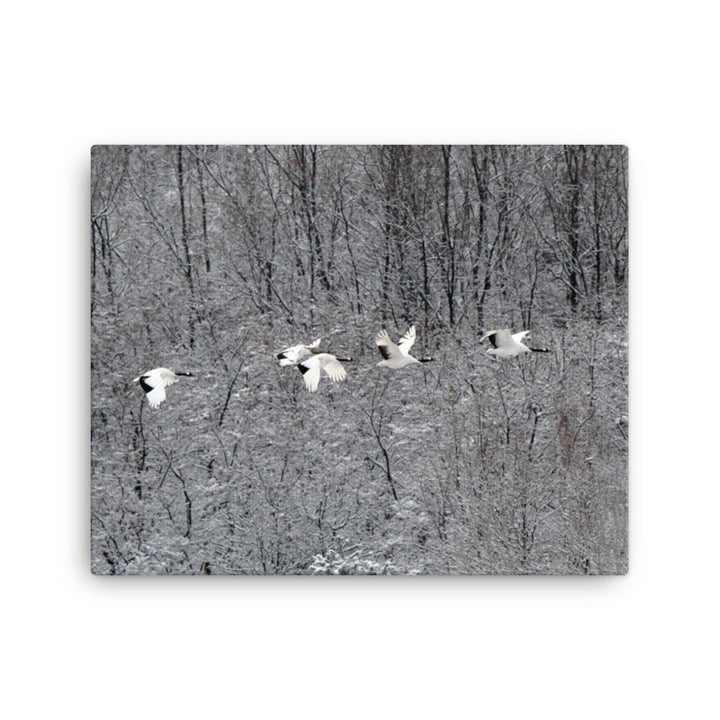 Leinwand - fliegende Kranichfamilie 41x51 cm artlia
