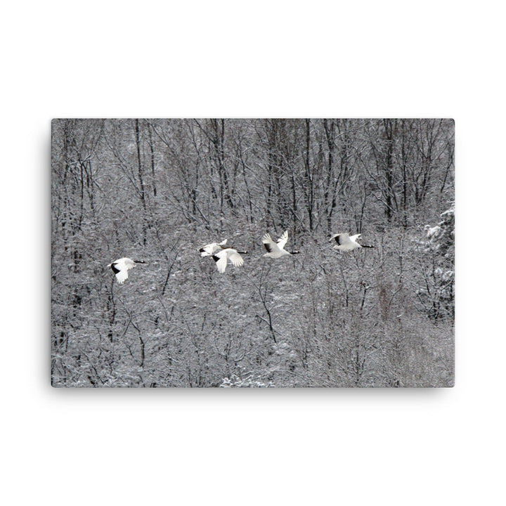 Leinwand - fliegende Kranichfamilie 61x91 cm artlia
