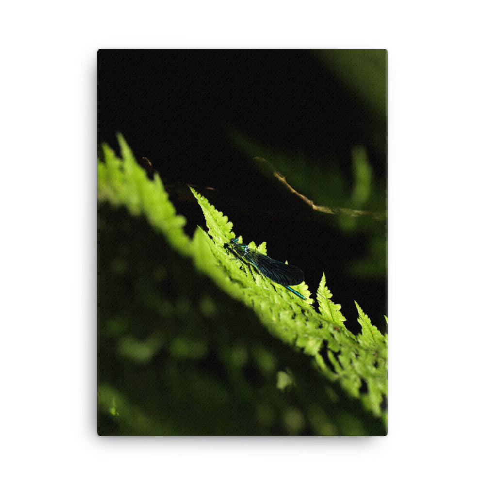 Leinwand - Grüne Libelle 30x41 cm artlia