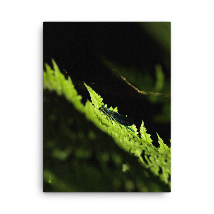 Leinwand - Grüne Libelle 30x41 cm artlia