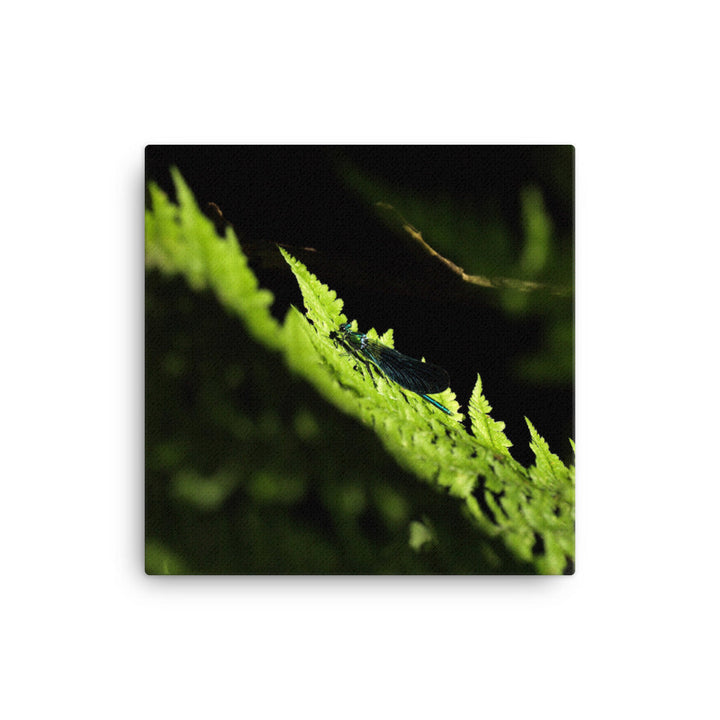 Leinwand - Grüne Libelle 41x41 cm artlia