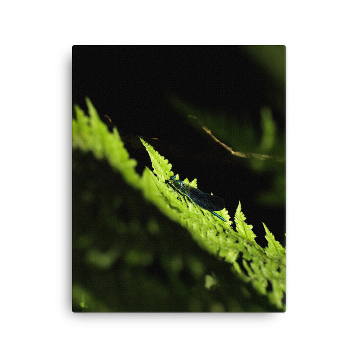 Leinwand - Grüne Libelle 41x51 cm artlia