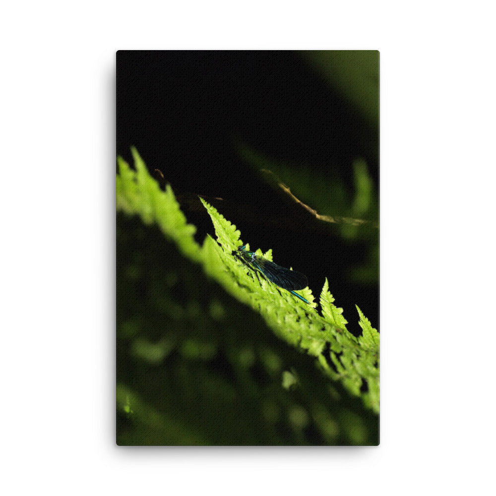 Leinwand - Grüne Libelle 61x91 cm artlia